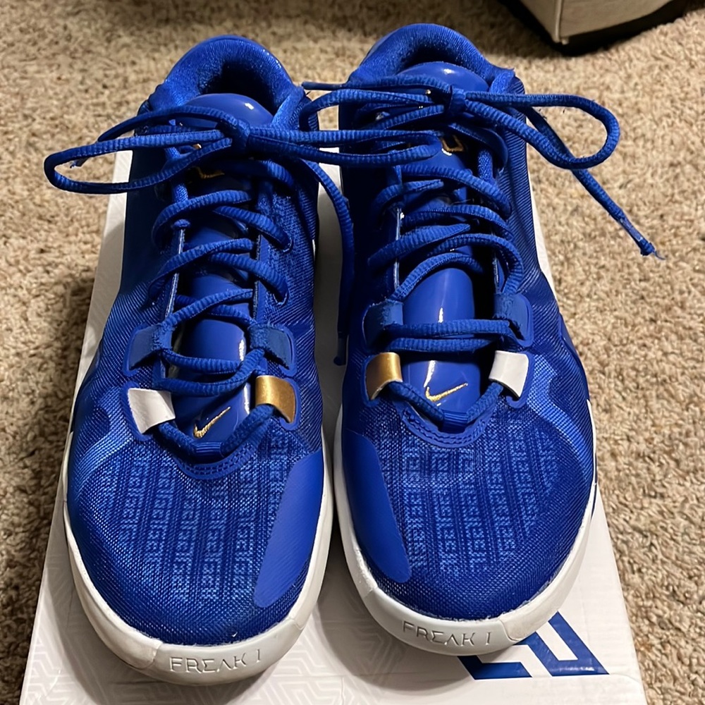 Zoom Freak 1 basketball shoes